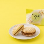 2020新パインパンセ②