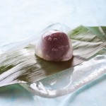 くず一粒＿色調整